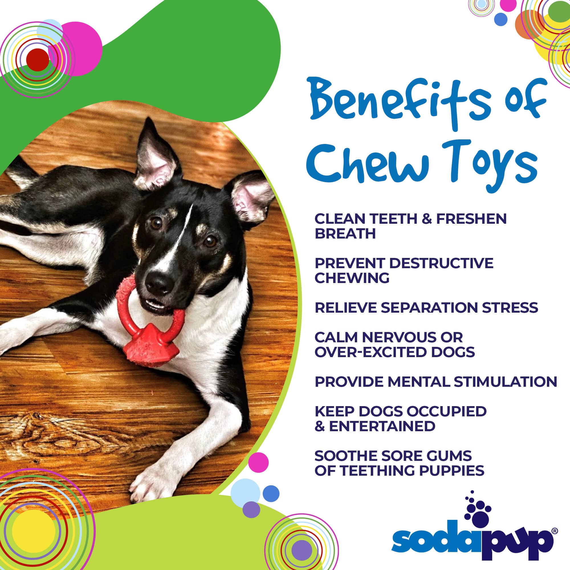 Diamond Ring Nylon Teething Ring for Puppies | Durable & USA Made by SodaPup/True Dogs, LLC