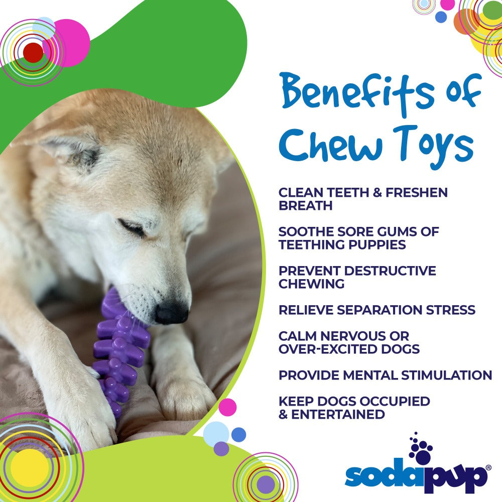 Fish Bone Nylon Dog Toy for Aggressive Chewers | USA Made | SodaPup by SodaPup/True Dogs, LLC