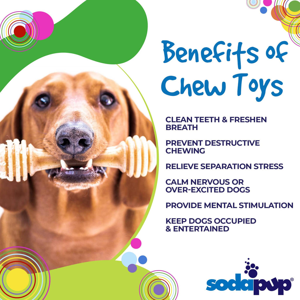 Honey Bone Nylon Dog Toy for Aggressive Chewers | Indestructible | USA Made by SodaPup/True Dogs, LLC