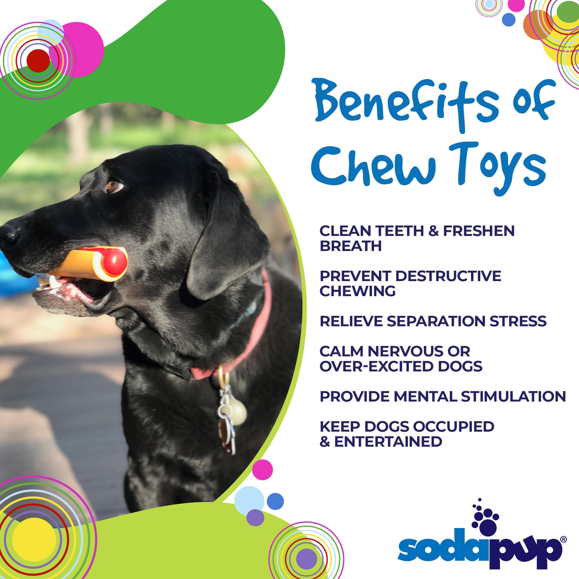 Hot Dog Nylon Dog Toy for Aggressive Chewers | USA Made | SodaPup by SodaPup/True Dogs, LLC