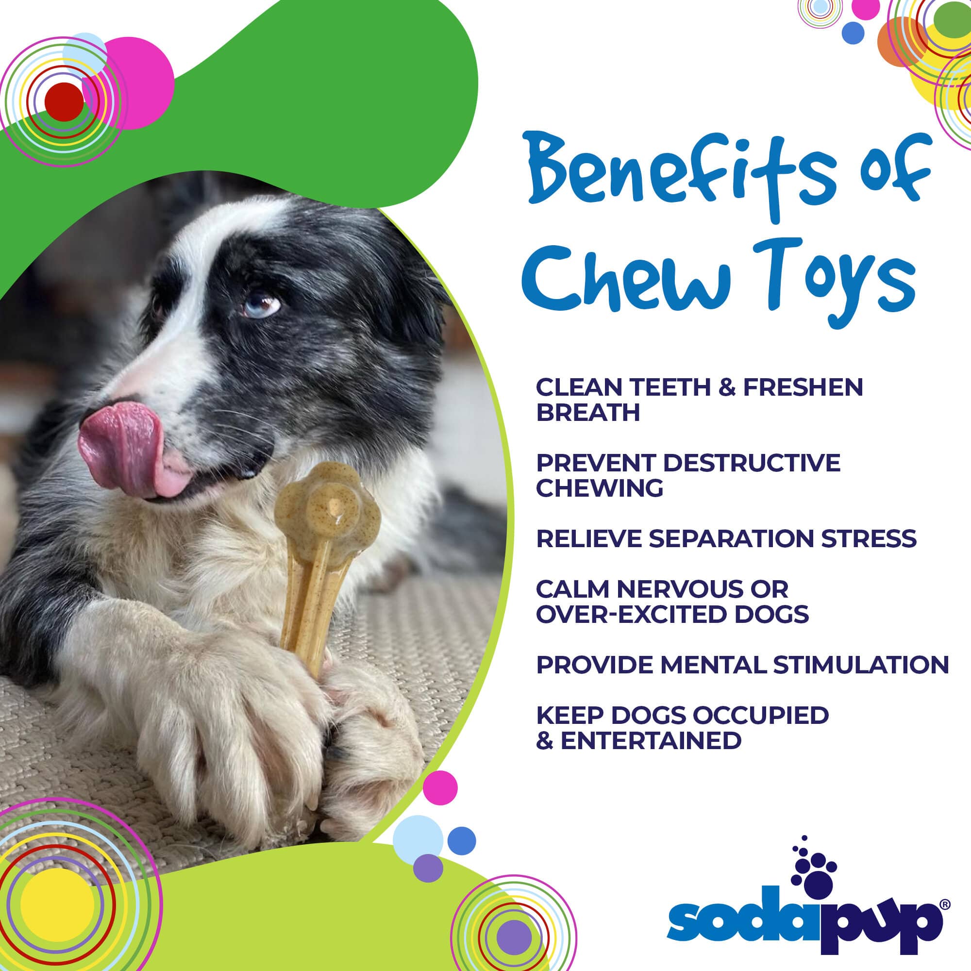 Knuckle Bone Nylon Dog Chew Toy for Aggressive Chewers | Made in USA by SodaPup/True Dogs, LLC