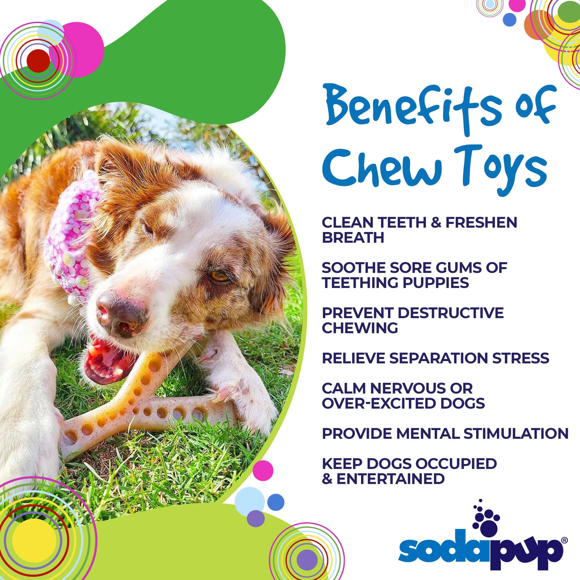 MOD Wishbone Nylon Dog Chew Toy for Aggressive Chewers | USA Made by SodaPup/True Dogs, LLC