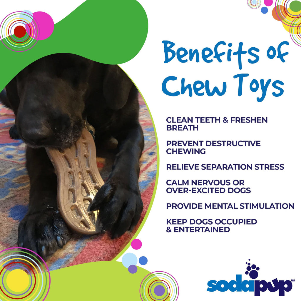 Peanut Nylon Dog Chew Toy | Ultra-Durable for Aggressive Chewers | SodaPup by SodaPup/True Dogs, LLC