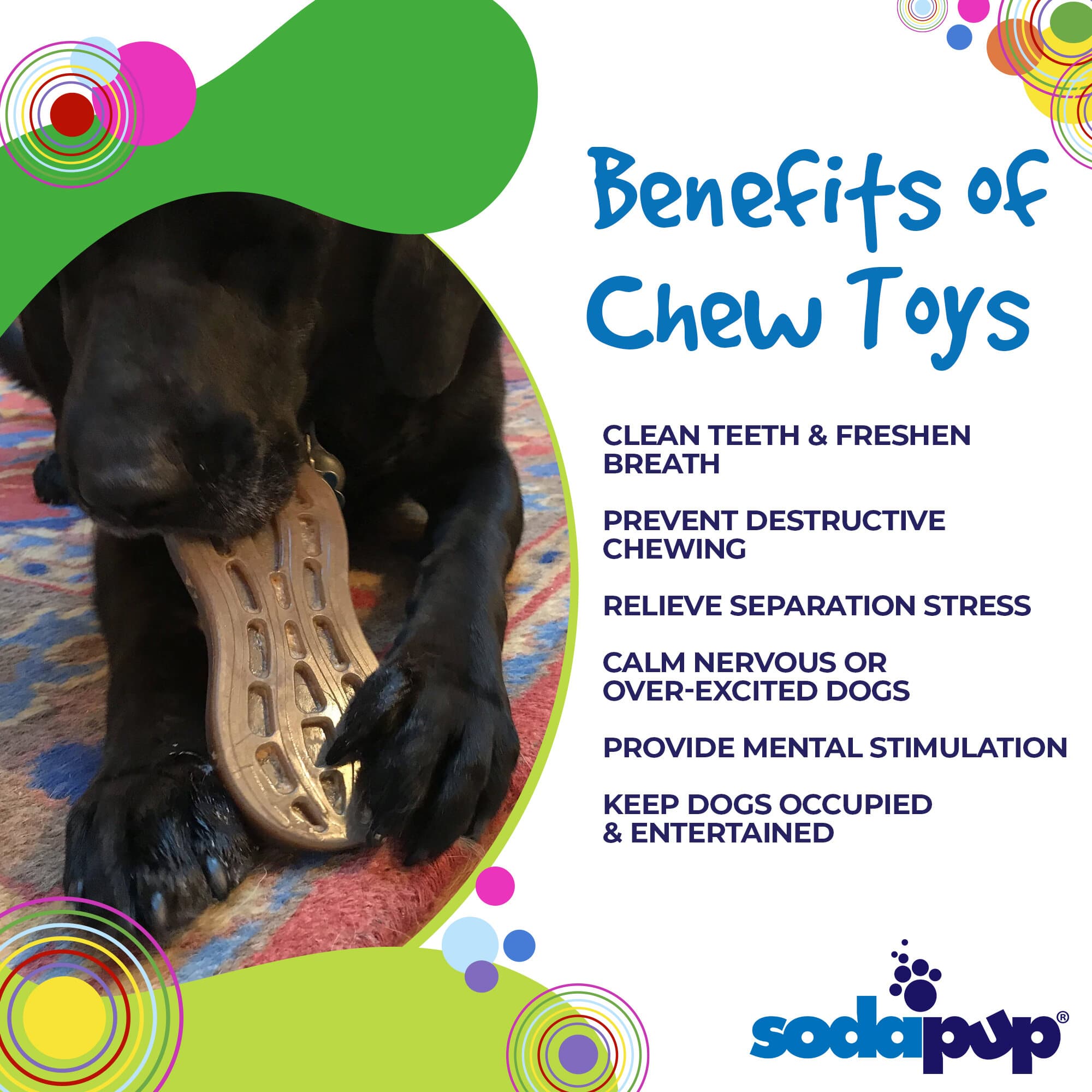 Peanut Nylon Dog Chew Toy | Ultra-Durable for Aggressive Chewers | SodaPup by SodaPup/True Dogs, LLC