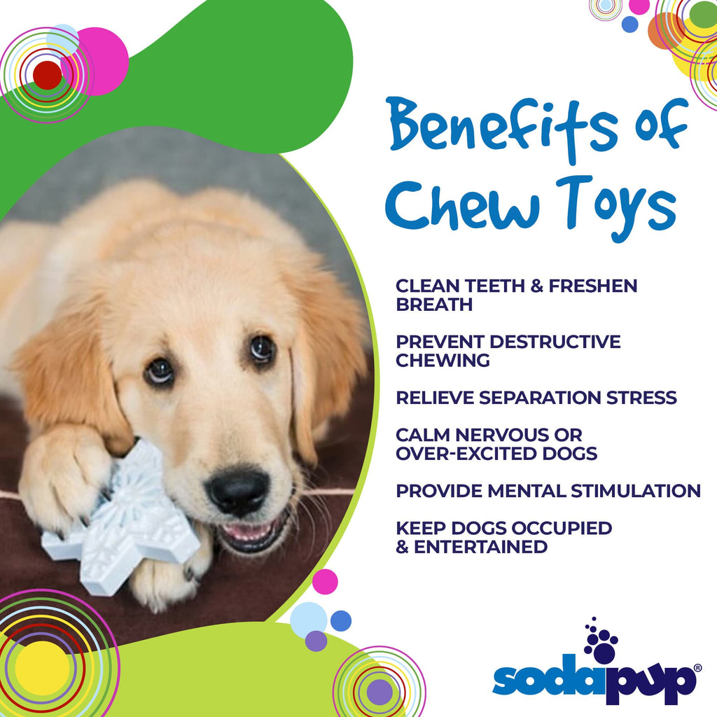 Snowflake Nylon Dog Chew Toy for Aggressive Chewers | USA Made & FDA Compliant by SodaPup/True Dogs, LLC