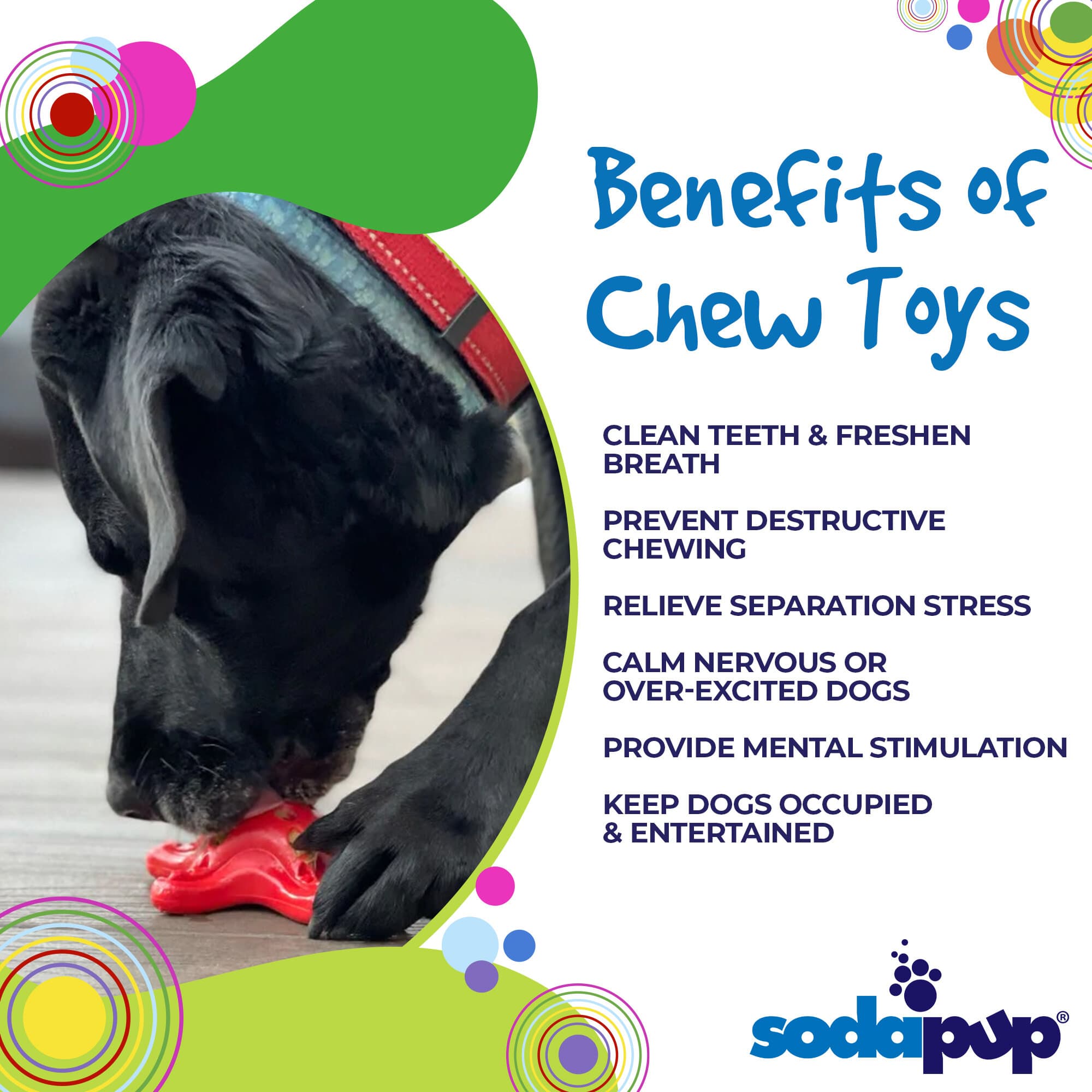 Starfish Nylon Dog Chew Toy for Aggressive Chewers | USA Made | SodaPup by SodaPup/True Dogs, LLC