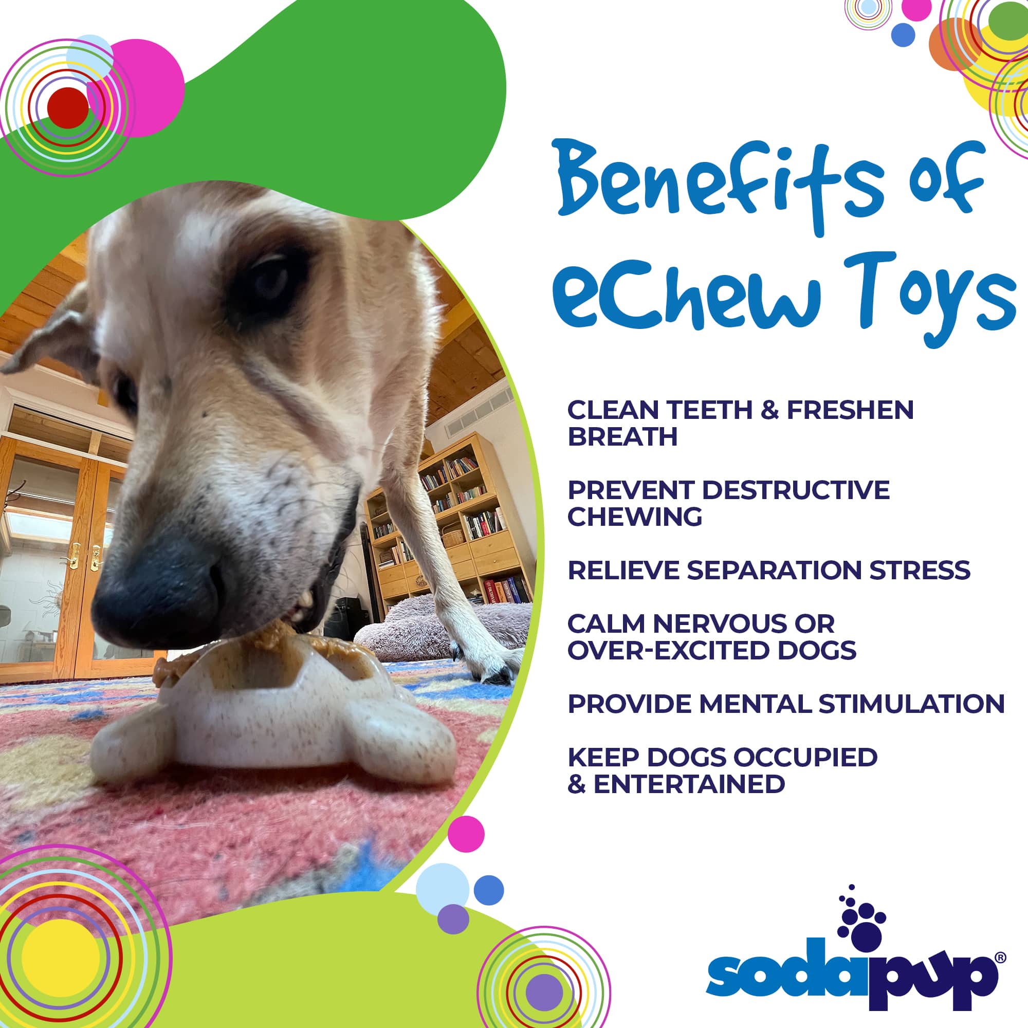Turtle Nylon Chew Toy - Ultra-Durable Enrichment Toy for Power Chewers USA by SodaPup/True Dogs, LLC