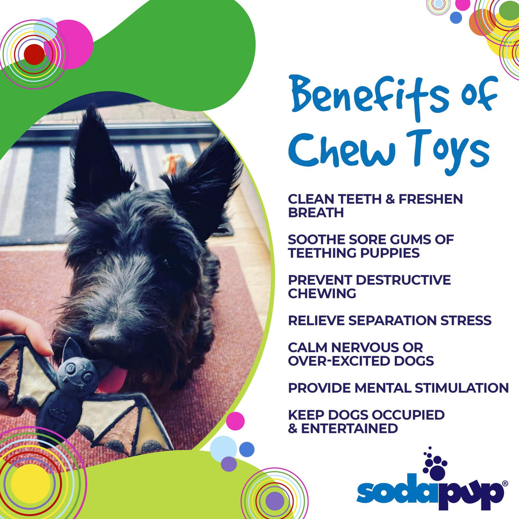 Vampire Bat Nylon Dog Chew Toy for Aggressive Chewers | USA Made & FDA Compliant by SodaPup/True Dogs, LLC