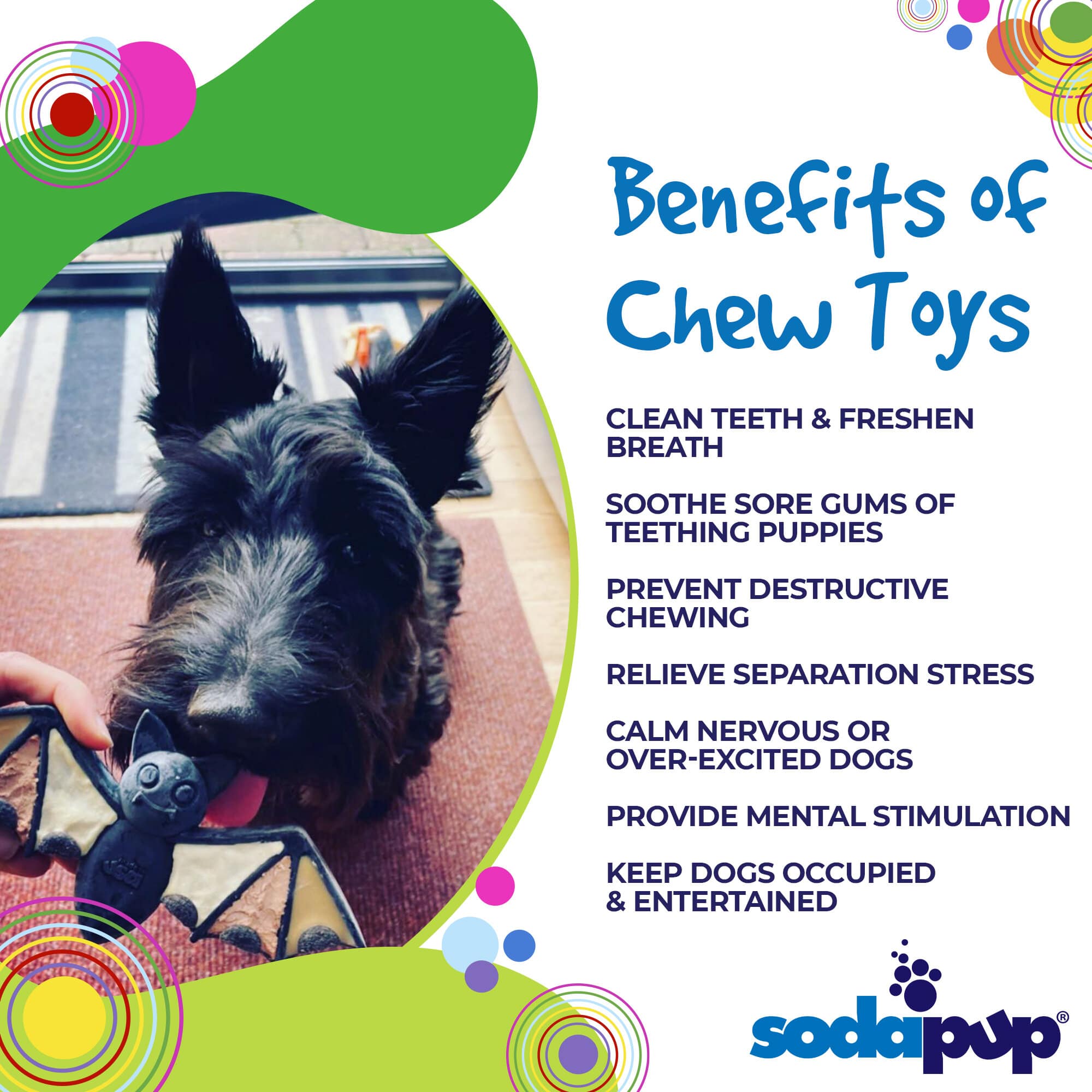 Vampire Bat Nylon Dog Chew Toy for Aggressive Chewers | USA Made & FDA Compliant by SodaPup/True Dogs, LLC