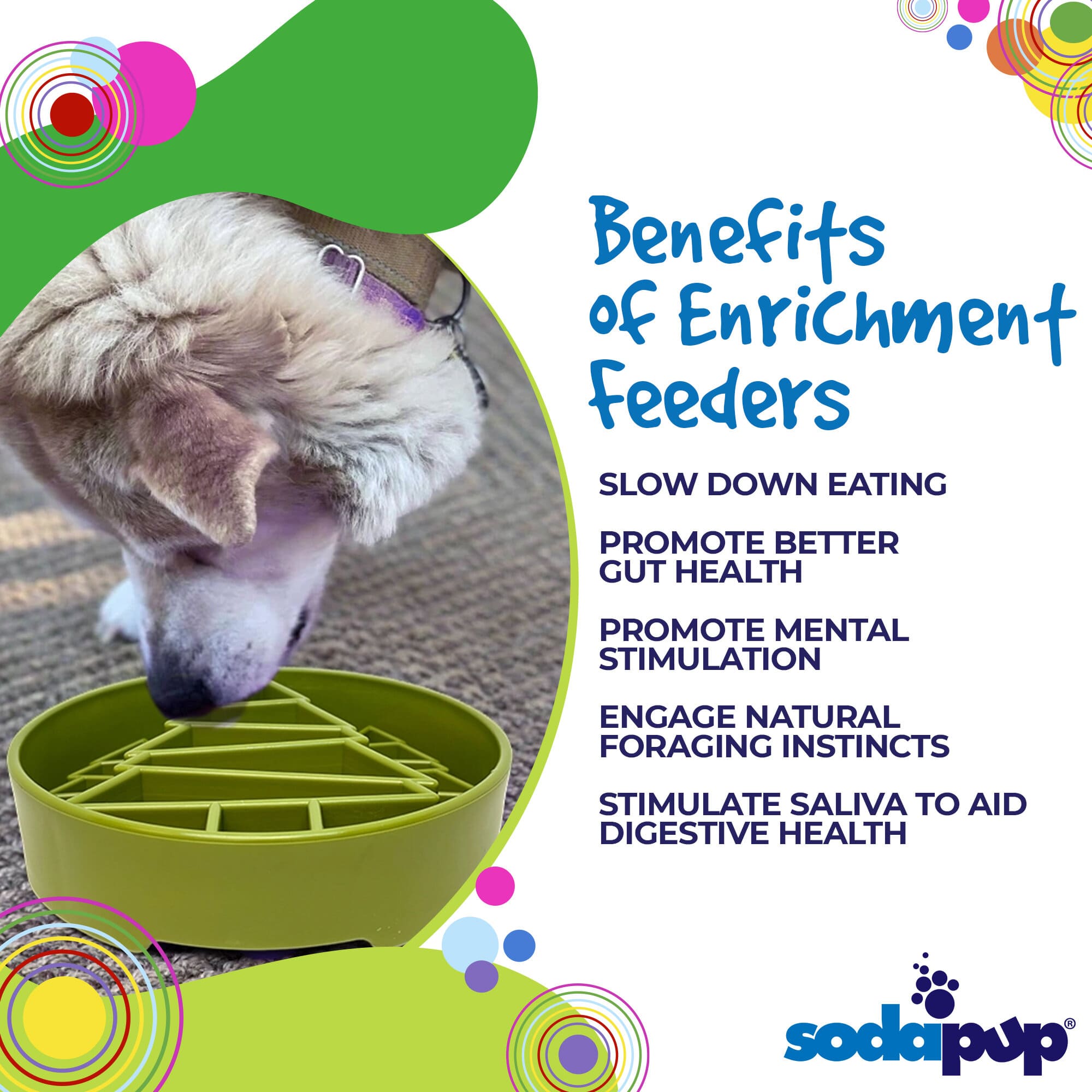 Pine Tree Christmas eBowl Deep Slow Feeder Dog Bowl for Enrichment | USA Made by SodaPup/True Dogs, LLC