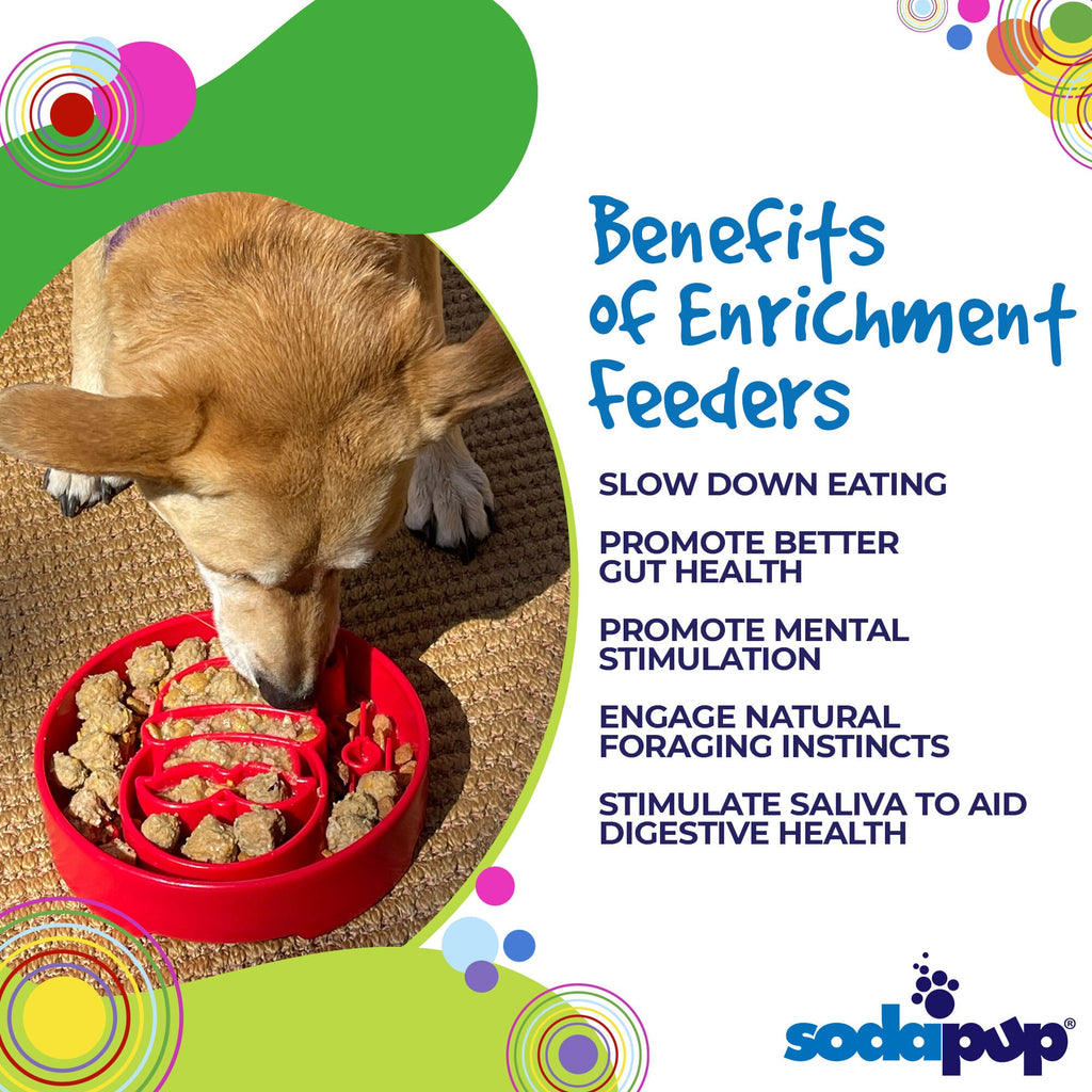 Santa Christmas eBowl Deep Slow Feeder Dog Bowl for Enrichment | USA Made by SodaPup/True Dogs, LLC