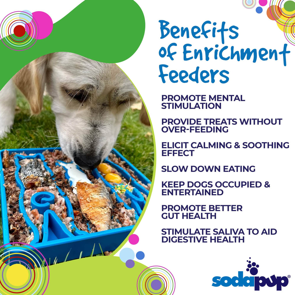Waiting Dogs eTray - Shallow Slow Feeder Bowl for Enrichment | USA Made by SodaPup/True Dogs, LLC
