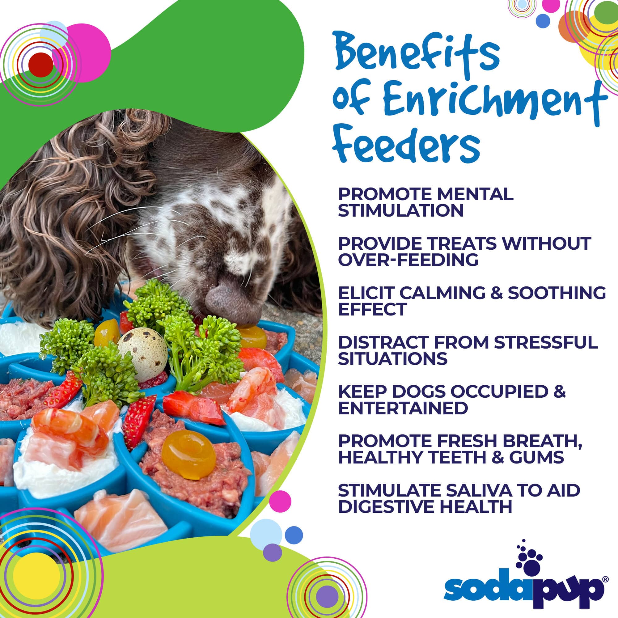 Mandala eTray Shallow Slow Feeder Dog Bowl for Enrichment | USA Made by SodaPup/True Dogs, LLC
