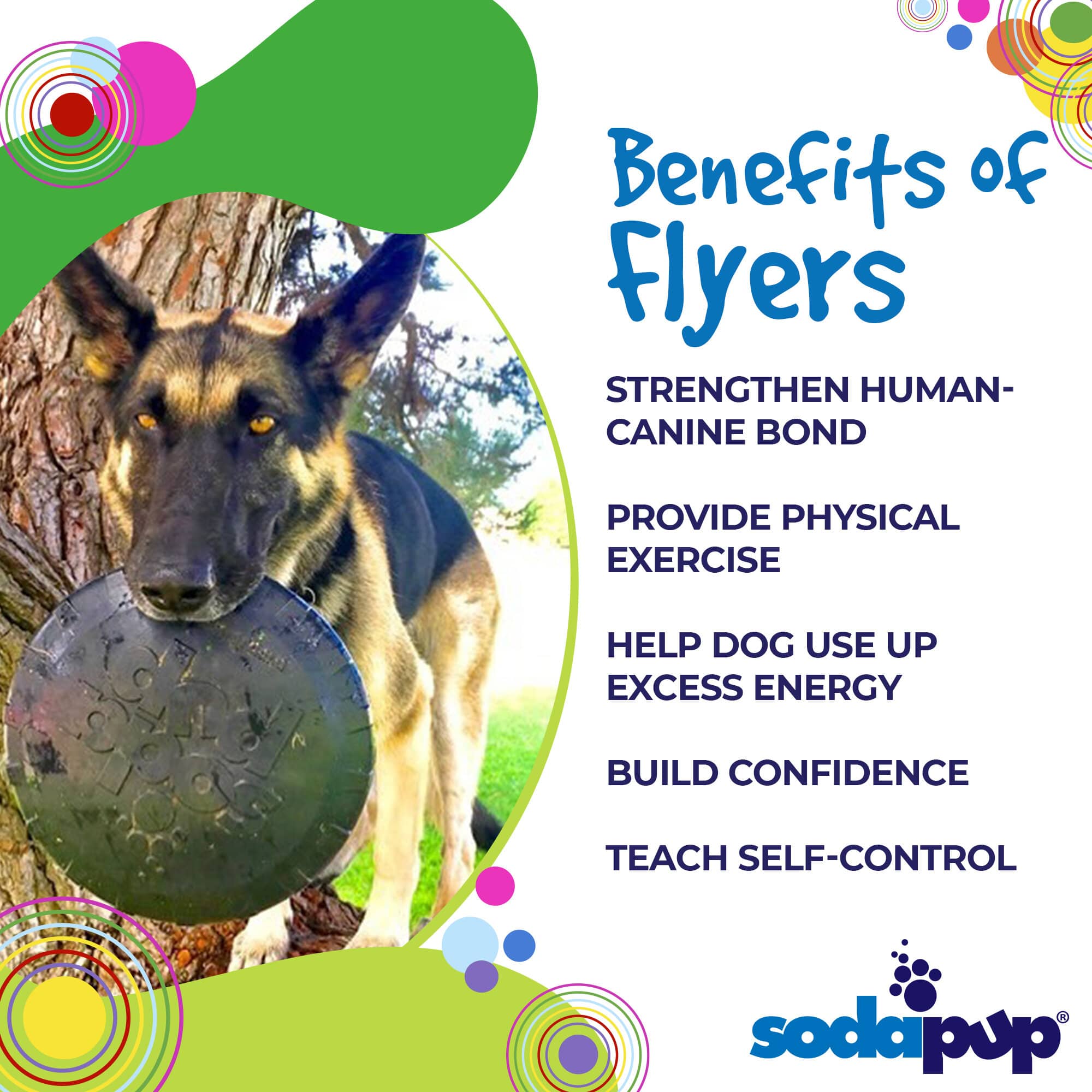 Magnum Bottle Top Flyer Rubber Frisbee for Heavy Chewers | Large | USA Made by SodaPup/True Dogs, LLC