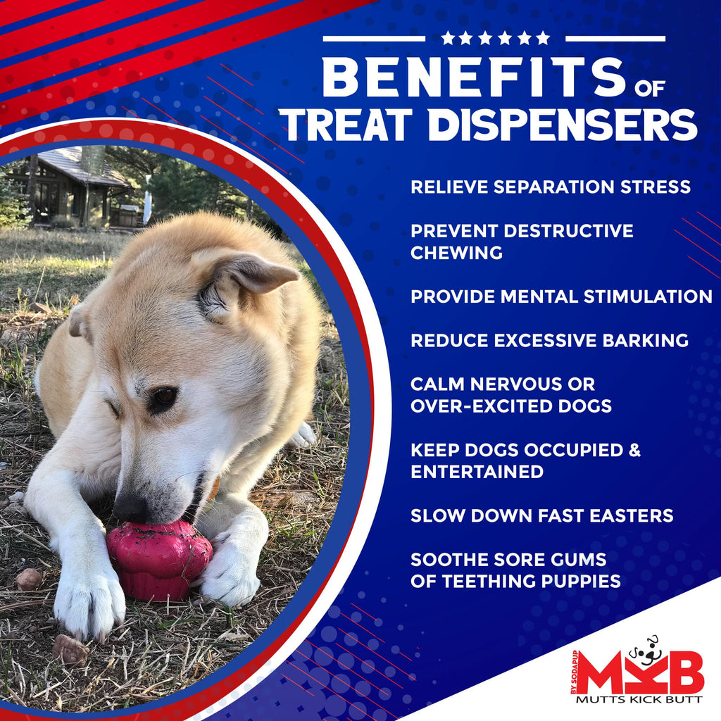 Cupcake eDispenser - Durable Rubber Chew Toy & Treat Dispenser | USA Made by SodaPup/True Dogs, LLC