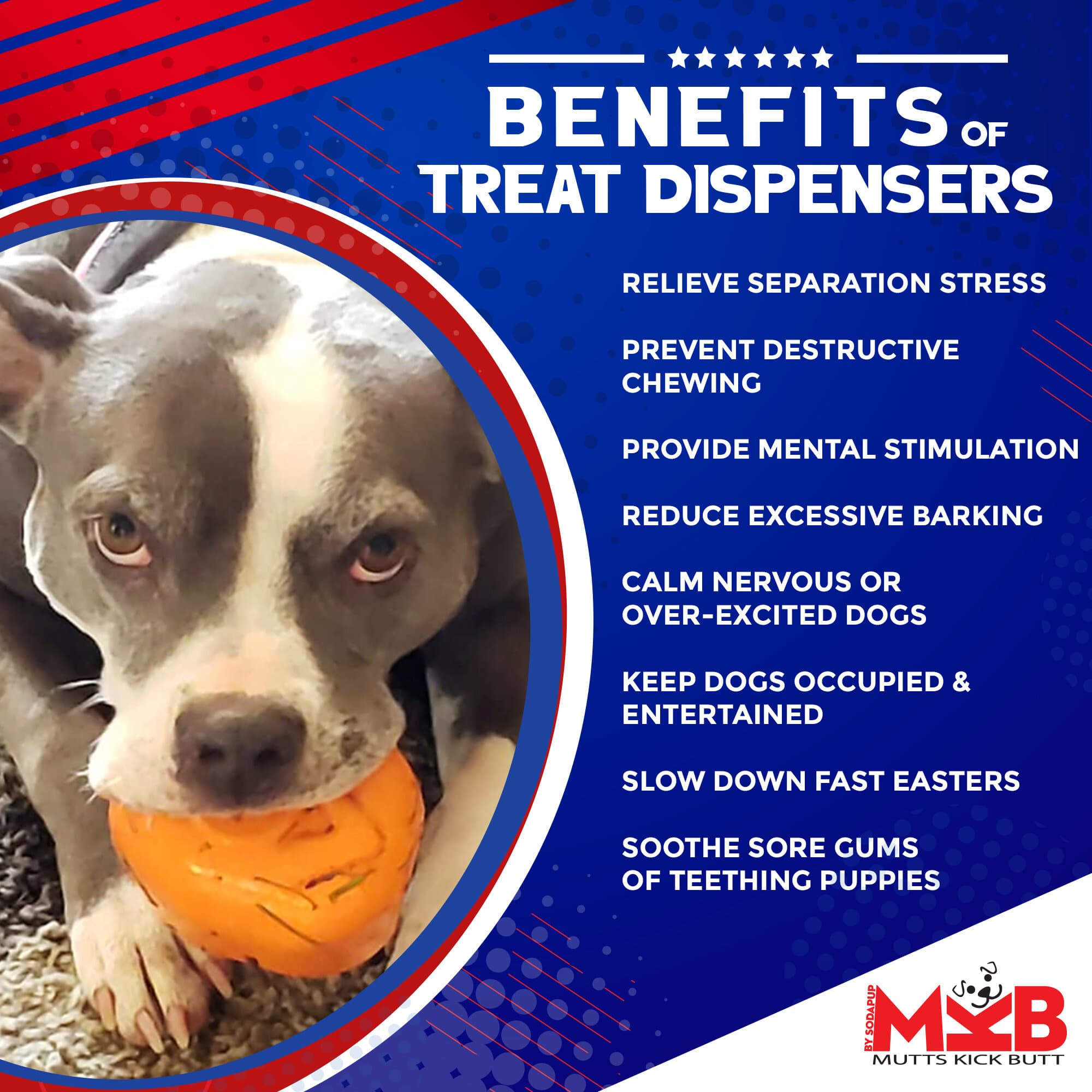 Roasted Turkey Dog Chew Toy & Treat Dispenser - USA Made | SodaPup by SodaPup/True Dogs, LLC