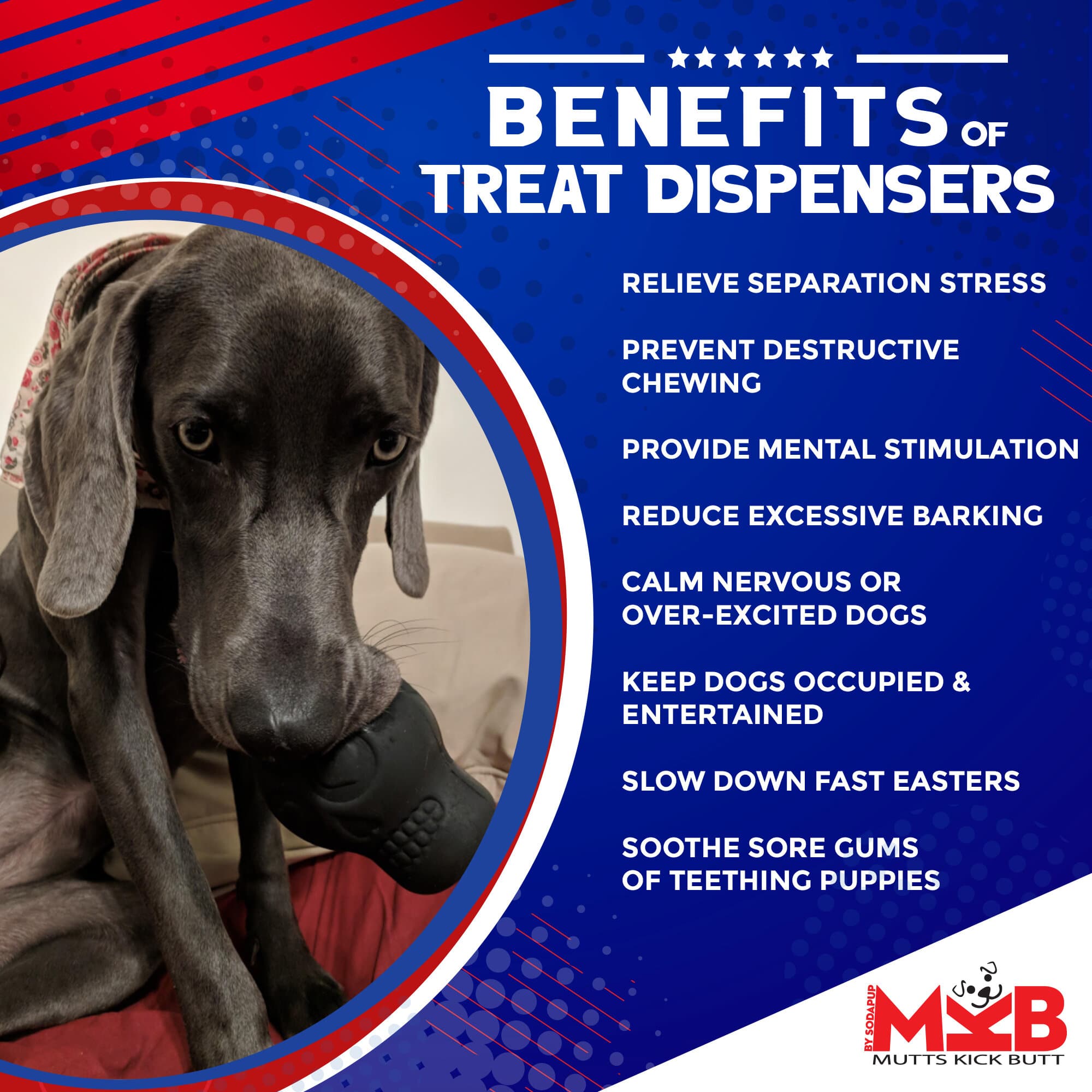 Magnum Sugar Skull Dog Chew Toy & Treat Dispenser - USA Made | SodaPup by SodaPup/True Dogs, LLC