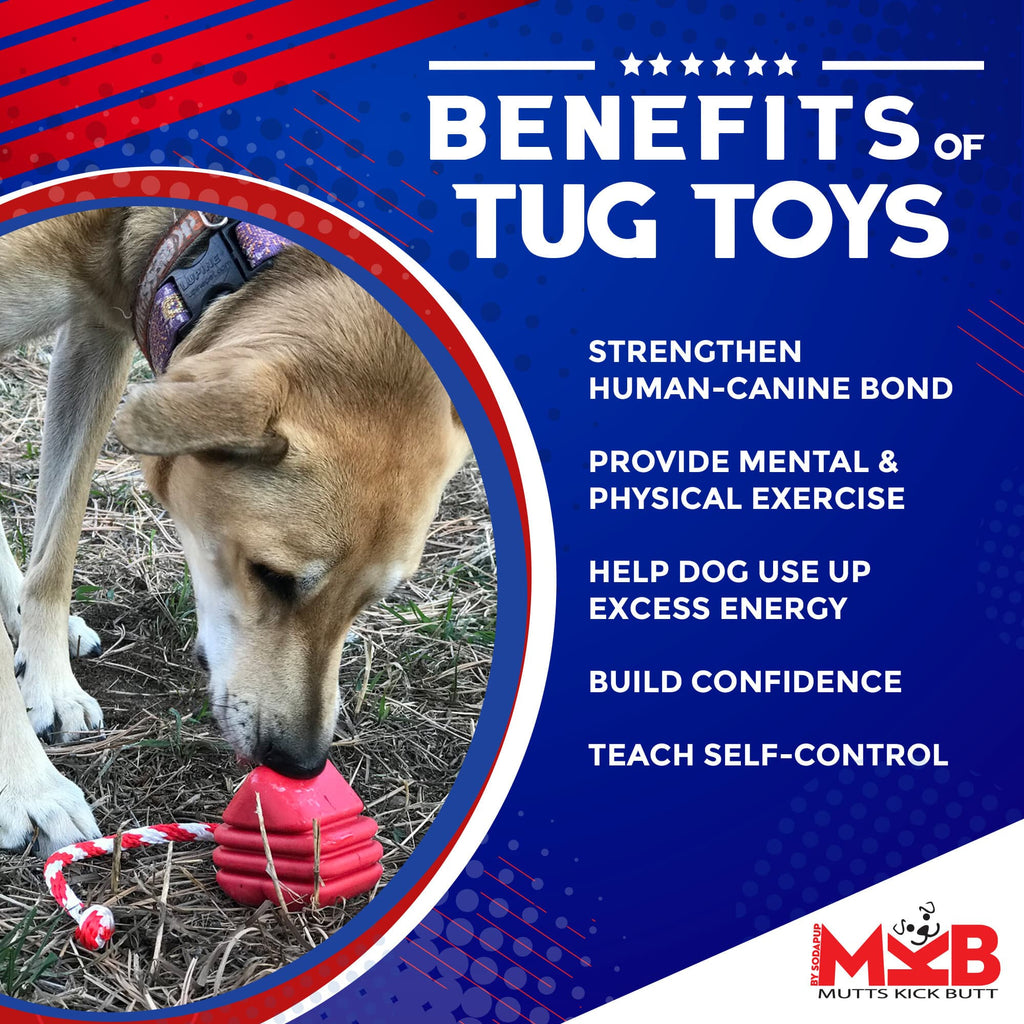 Heart on a String Dog Toy - Durable Rubber Tug Toy for Large Dogs | USA Made by SodaPup/True Dogs, LLC