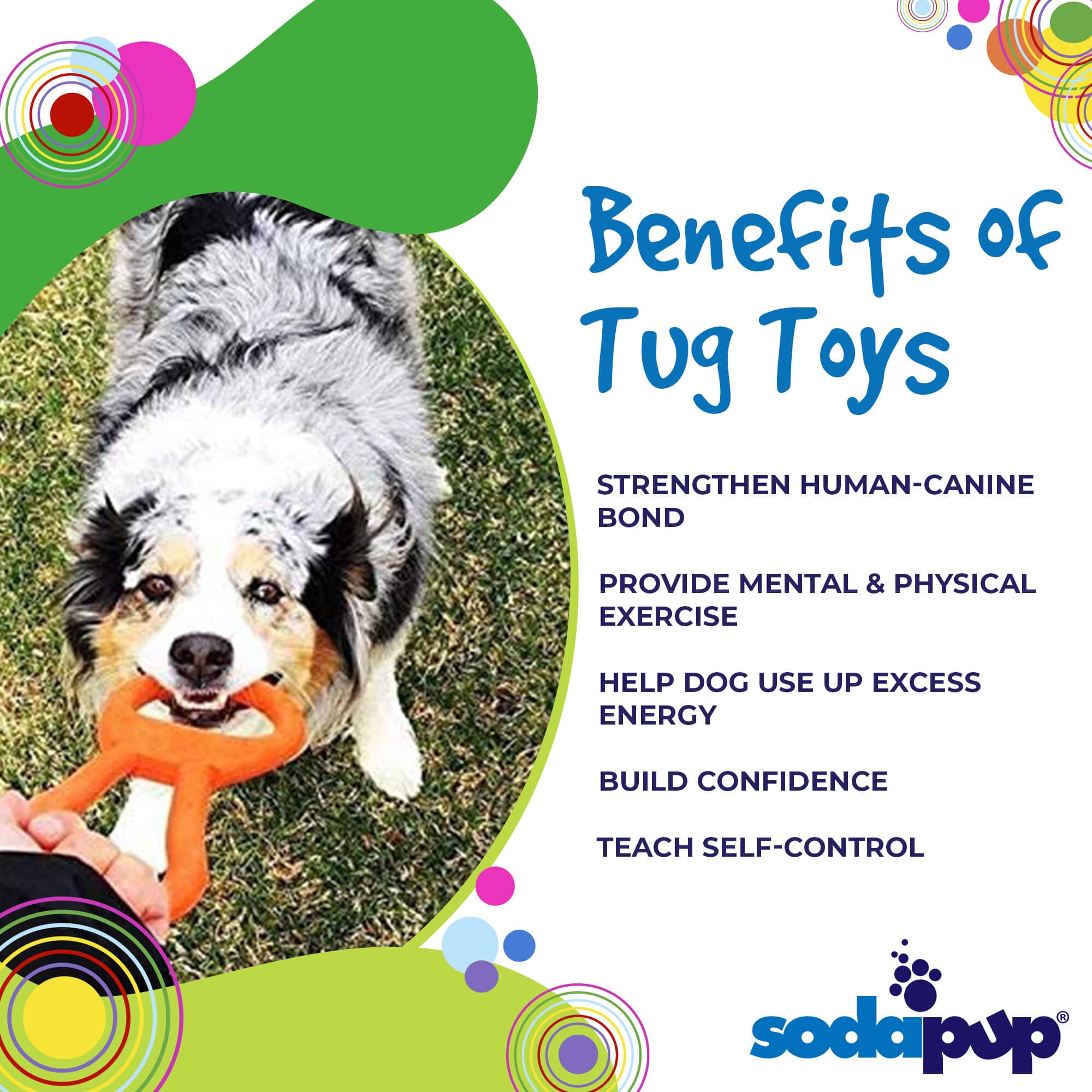 Pop Top Rubber Tug Toy for Interactive Play | Heavy Chewers | USA Made | SodaPup by SodaPup/True Dogs, LLC