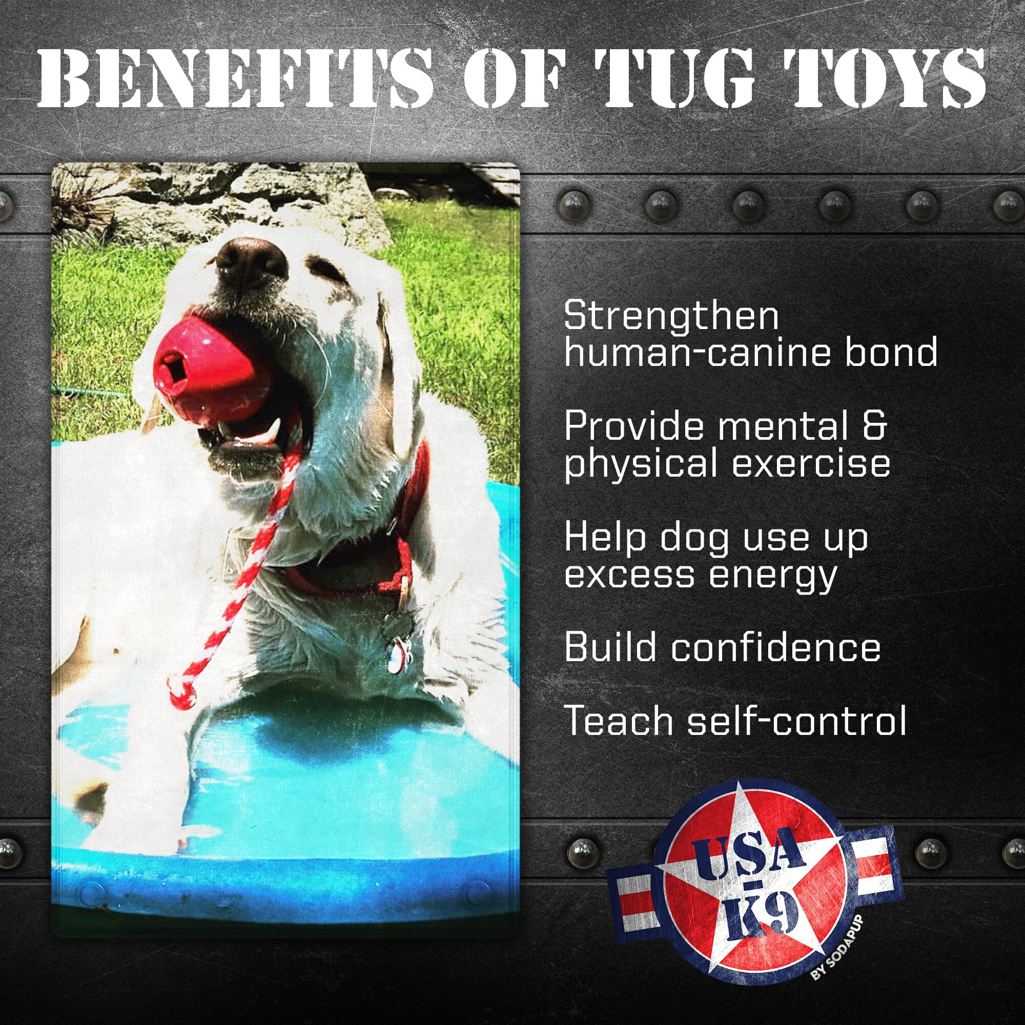 USA-K9 Cherry Bomb Rubber Dog Chew Toy | K9 Handler Reward Toy | Blue | USA Made by SodaPup/True Dogs, LLC