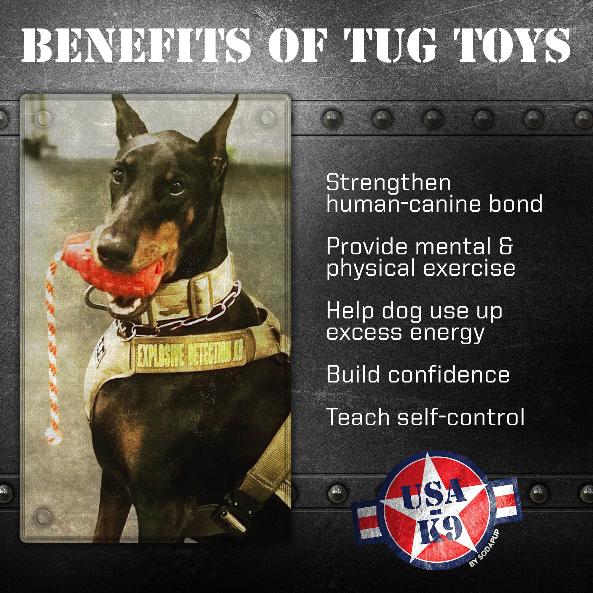 USA-K9 Grenade Rubber Dog Chew Toy | K9 Handler Reward Toy | Blue | USA Made by SodaPup/True Dogs, LLC