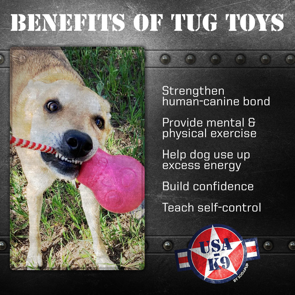 USA-K9 Skull Dog Chew Toy & Treat Dispenser - Made in USA | SodaPup by SodaPup/True Dogs, LLC