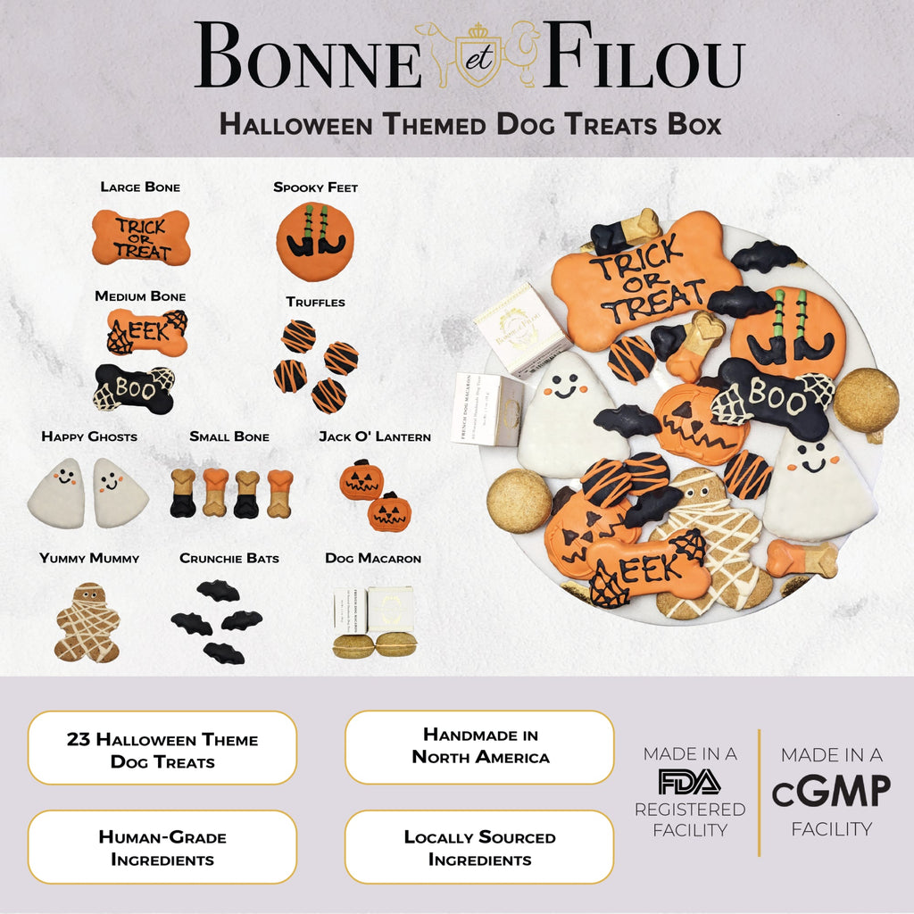 Halloween Themed Dog Treats Gift Box by Bonne et Filou