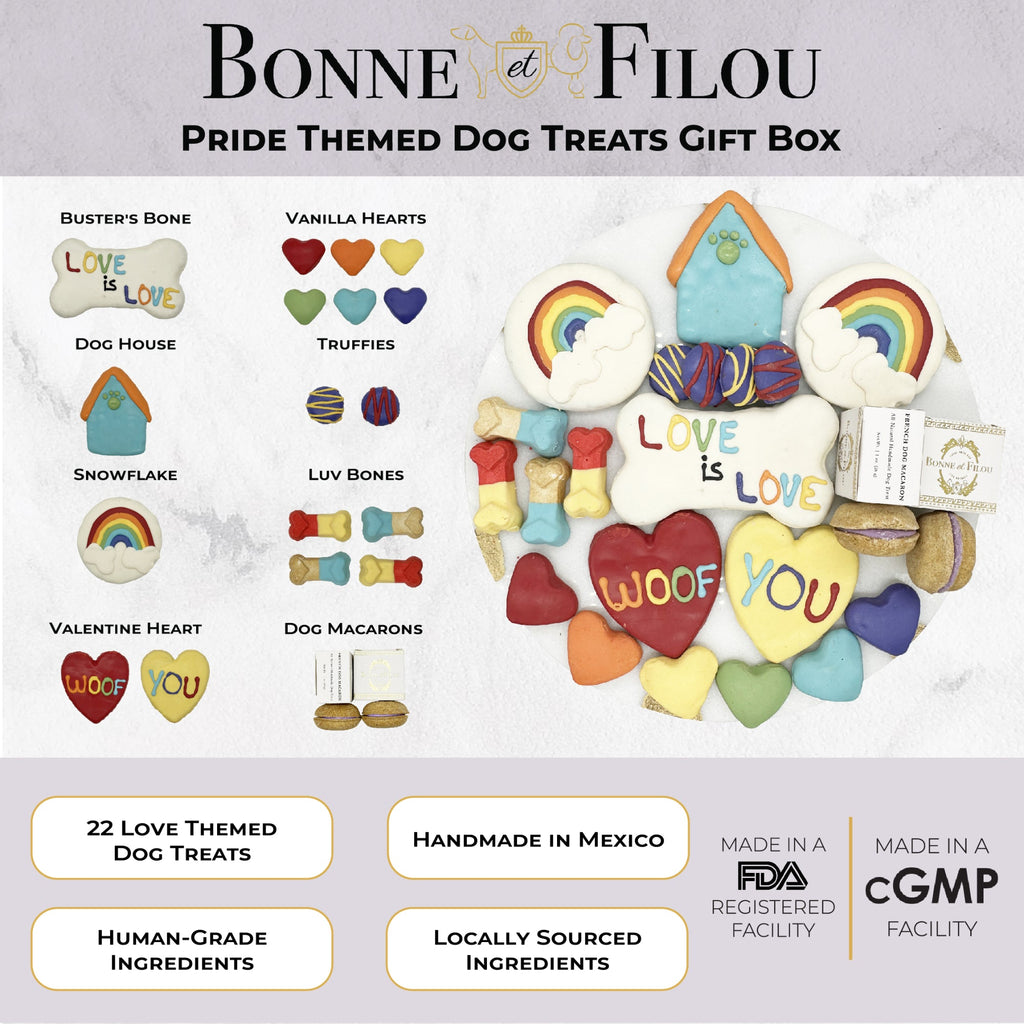 Pride Themed Dog Treats Gift Box by Bonne et Filou