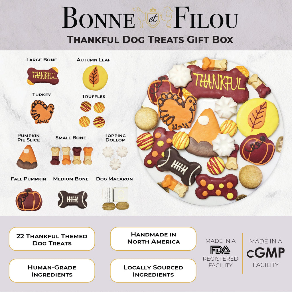 Thankful Themed Dog Treats Gift Box by Bonne et Filou
