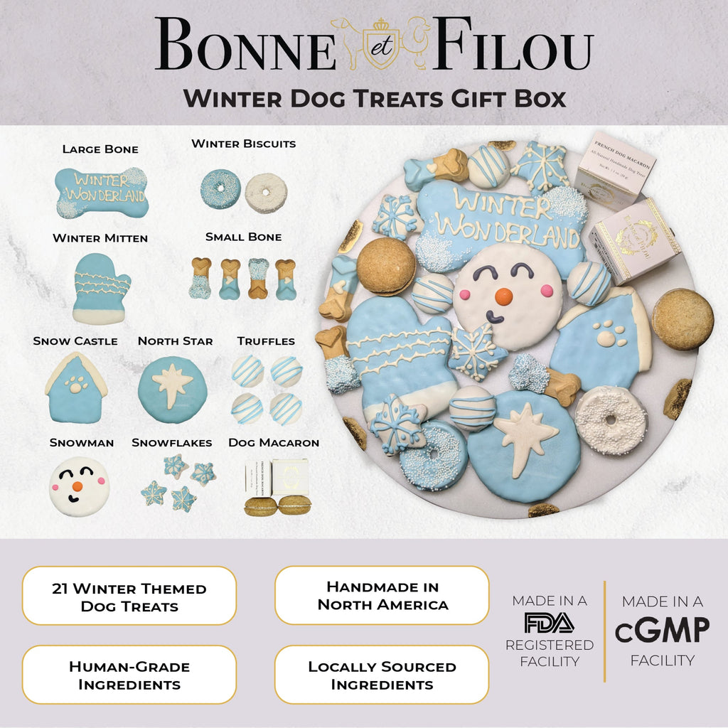 Winter Themed Dog Treats Gift Box by Bonne et Filou