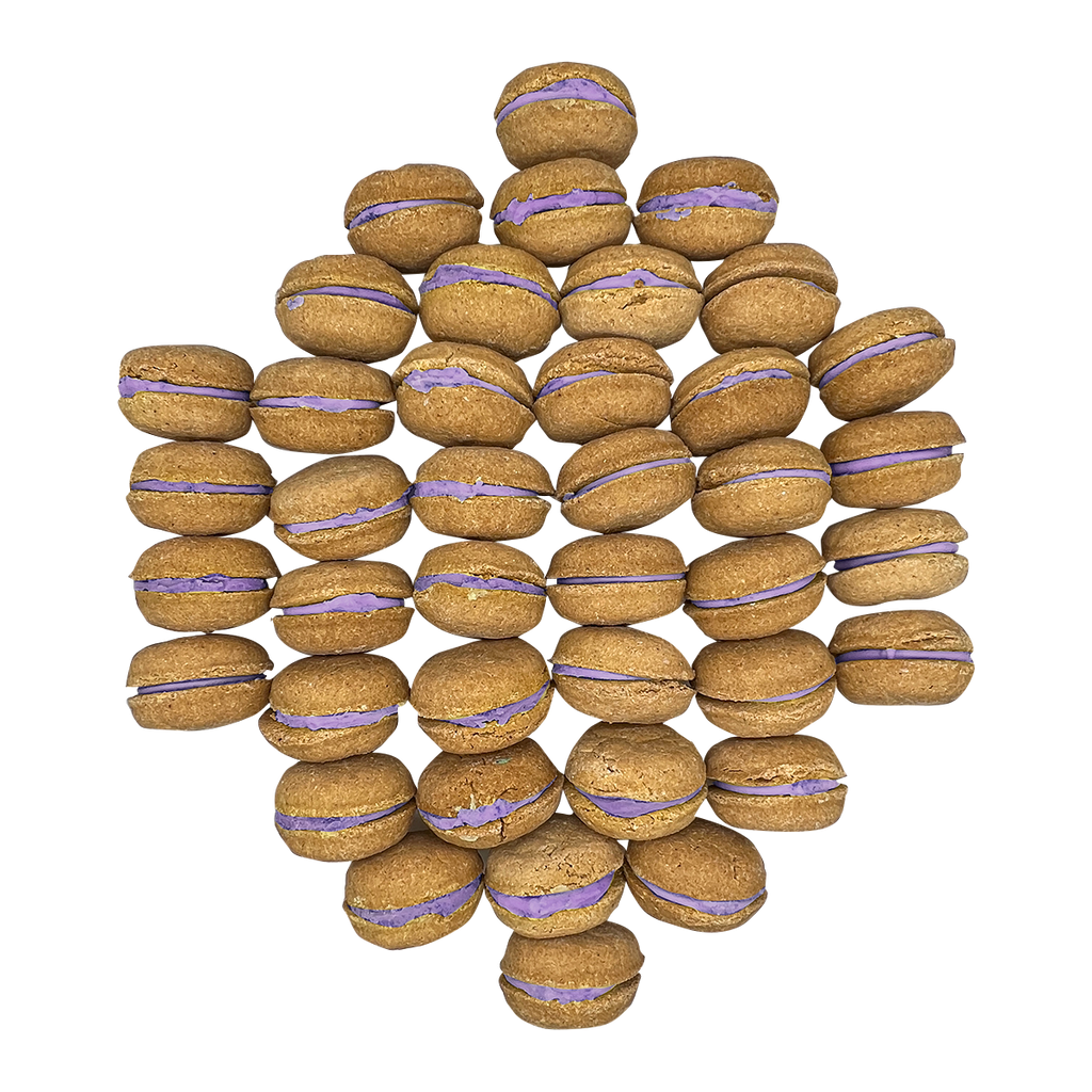 40 Count Dog Macaron Treats Gift Box by Bonne et Filou