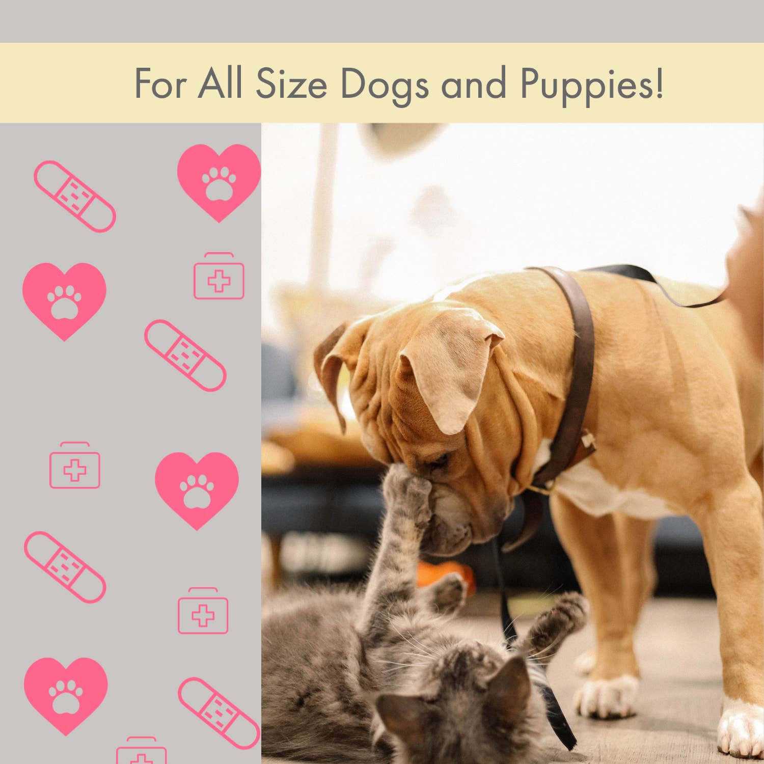 Comprehensive 40-Piece Pet Travel First Aid Kit for Emergencies, Safety, & Adventure by American Pet Supplies