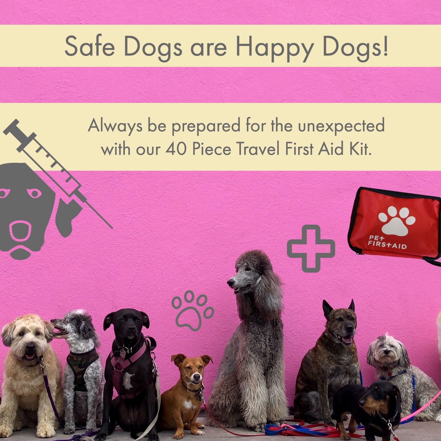 Comprehensive 40-Piece Pet Travel First Aid Kit for Emergencies, Safety, & Adventure by American Pet Supplies