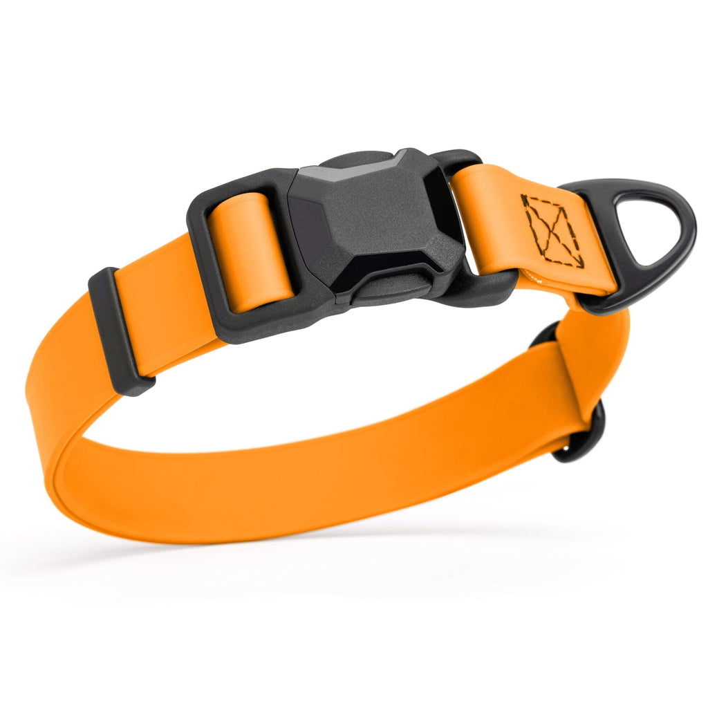 Biothane Waterproof Dog Collar with Magnetic Quick Release Buckle by Dogline