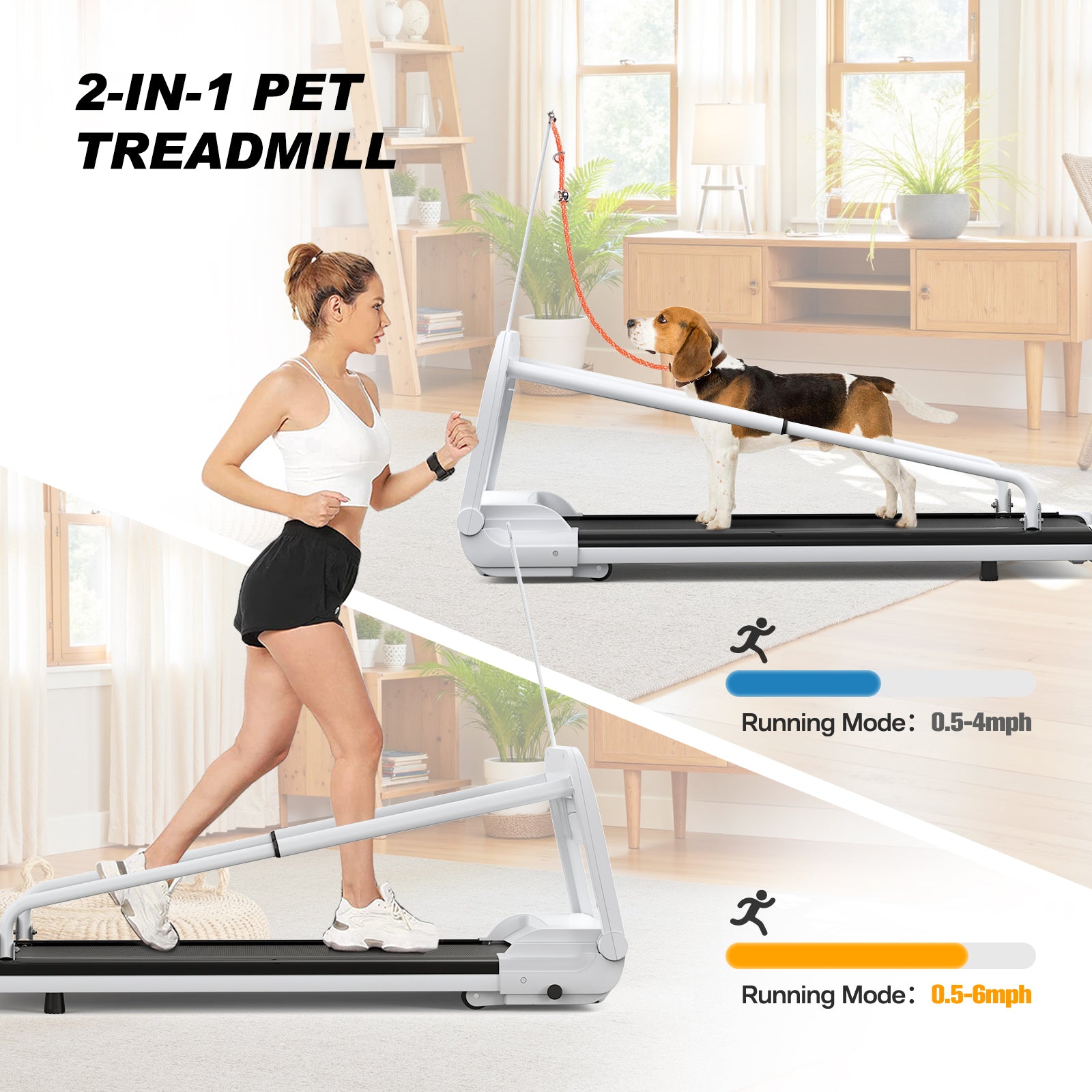 2025 New Quiet Smart Pet Treadmill, Adjustable Speed, Perfect For Small Medium Dogs by Amazing Pet Bargains
