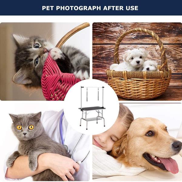 Pet Dog Grooming Table by Love My Pet