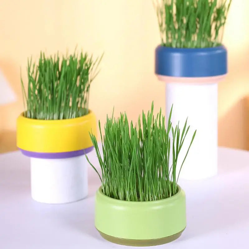 Hydroponic Box, Cat Grass Plant Bowl