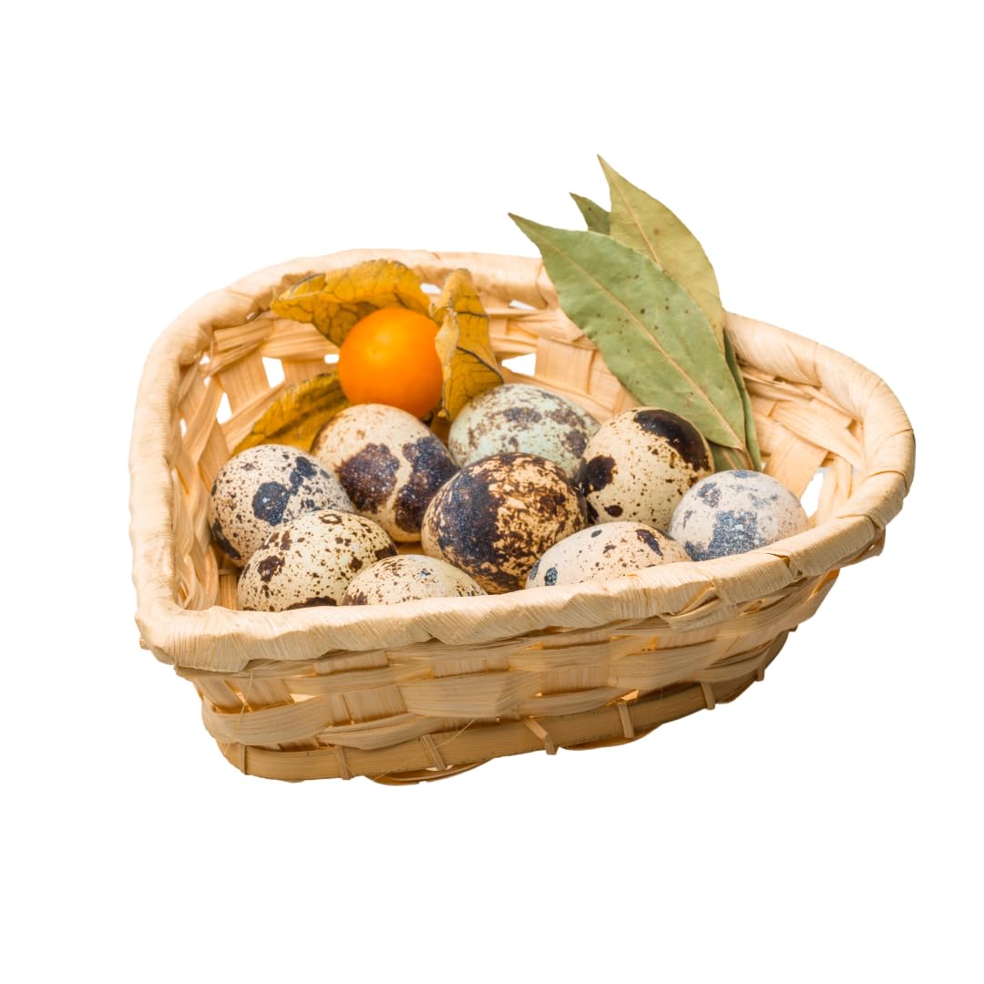 Fresh Quail Eggs Laid in the US by Quailz.com by Undique LLC