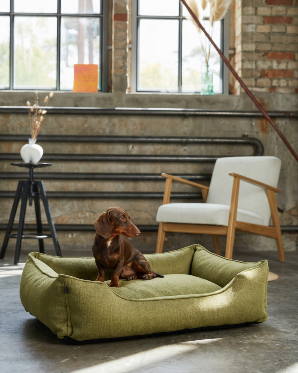 Chester & Lee | Cotton Sleeper Dog Bed Olive by Chester & Lee