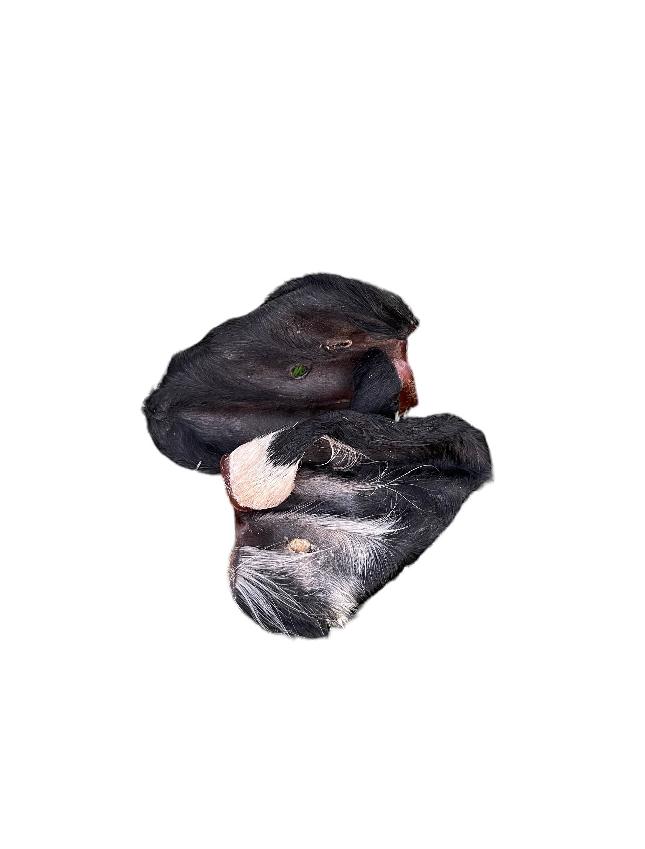 Dehydrated Beef Ears with Hair by Ancestral Raw Nutrition
