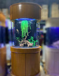 90 Gallon Glass 3/4 Cylinder Round Aquarium With Stand and Canopy in Golden Oak by Northeast Aquariums LLC