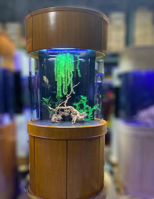 90 Gallon Glass 3/4 Cylinder Round Aquarium With Stand and Canopy in Golden Oak by Northeast Aquariums LLC