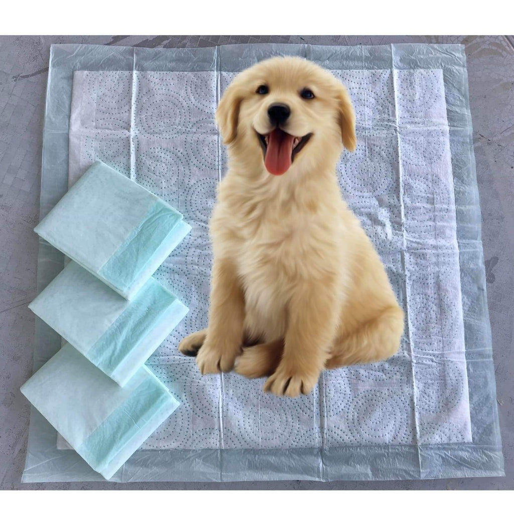 Mr. Peanut’s Premium Absorbent Gel Pee Pads 23"X23", 6 Layers of Lightly Scented Protection by Mr. Peanut's Pet Carriers