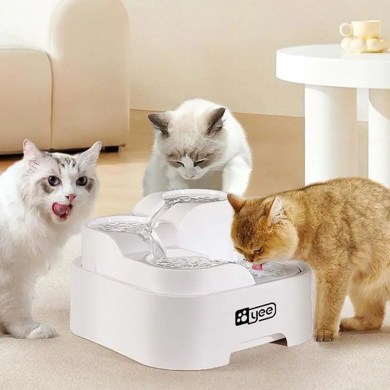 Pet Water Fountain With Filtration System by Love My Pet