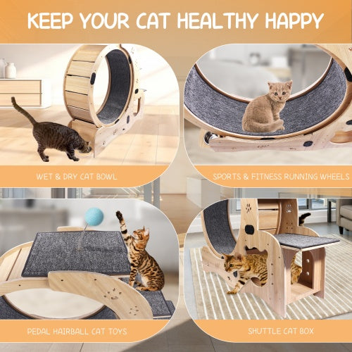 Cat Wheel 6-in-1 Cat Fitness Wheel by Love My Pet