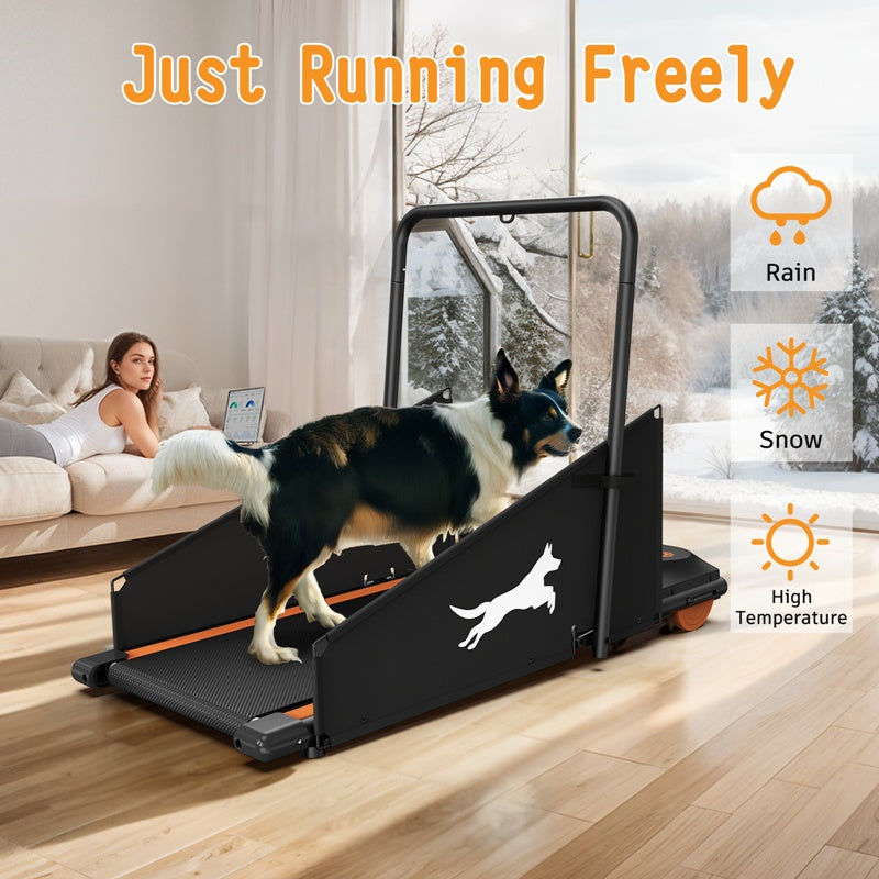 Dog Treadmill and Pacer For Healthy & Fit Pets by Amazing Pet Bargains