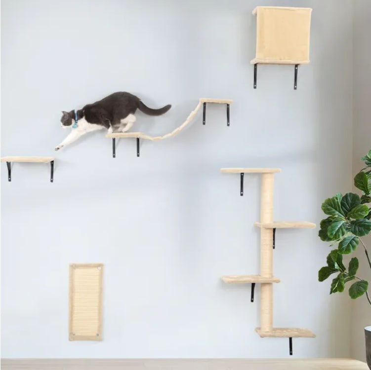 5 Pcs Wall Mounted Cat Climber Set, Floating Cat Shelves And Perches by VetsPetStore