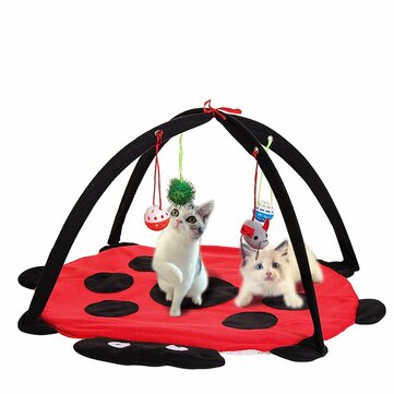 Black Ladybug Cat Play Mat by Furr Baby Gifts
