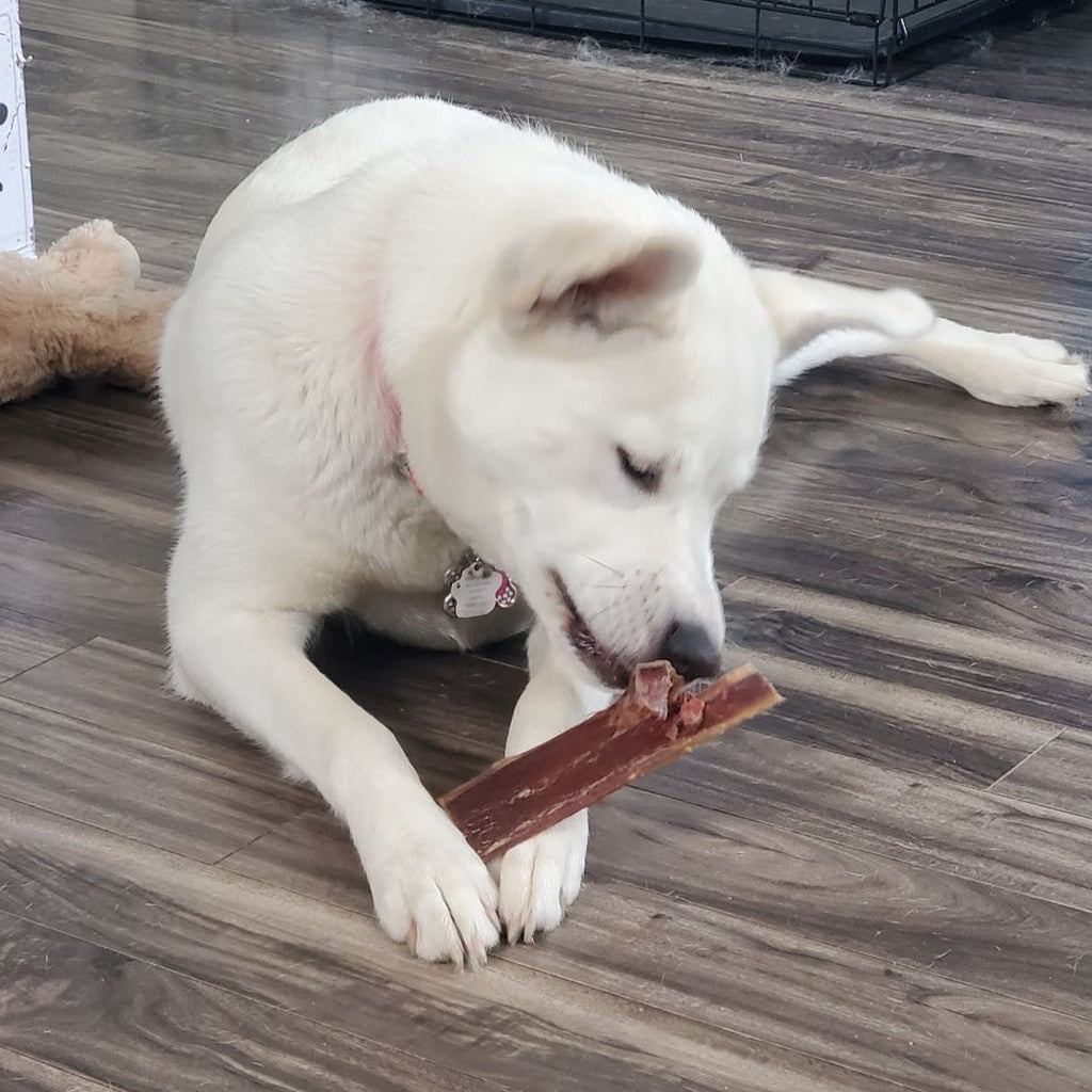 6 Inch Beef Jerky Strip by Bully Bunches