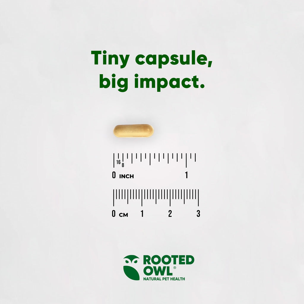 Liver Support by Rooted Owl Pet Supplements